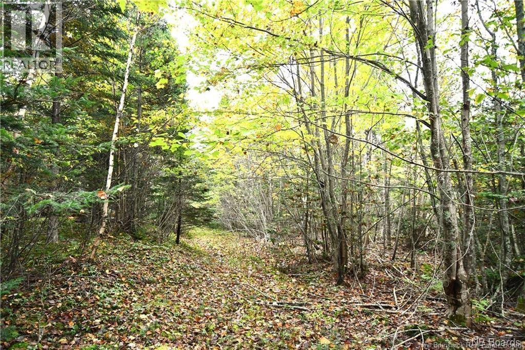155 Hutchins Heights Road, Welshpool, New Brunswick  E5E 1H2 - Photo 1 - NB131793