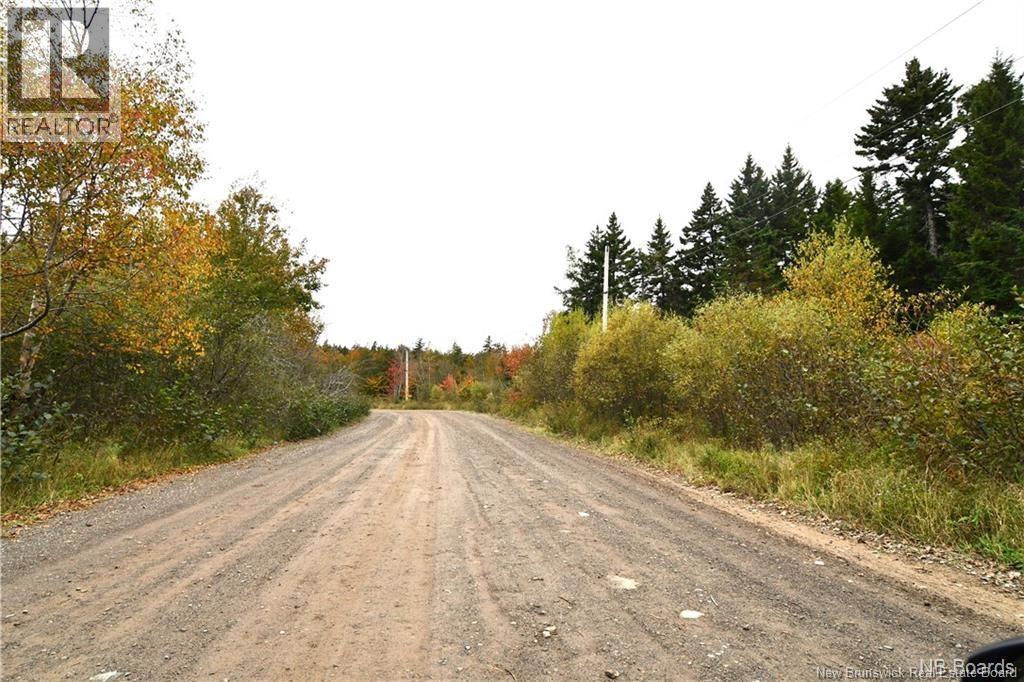 155 Hutchins Heights Road, Welshpool, New Brunswick  E5E 1H2 - Photo 5 - NB131793