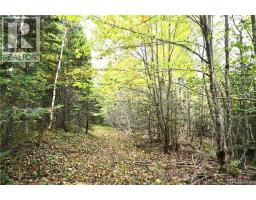 155 Hutchins Heights Road, welshpool, New Brunswick