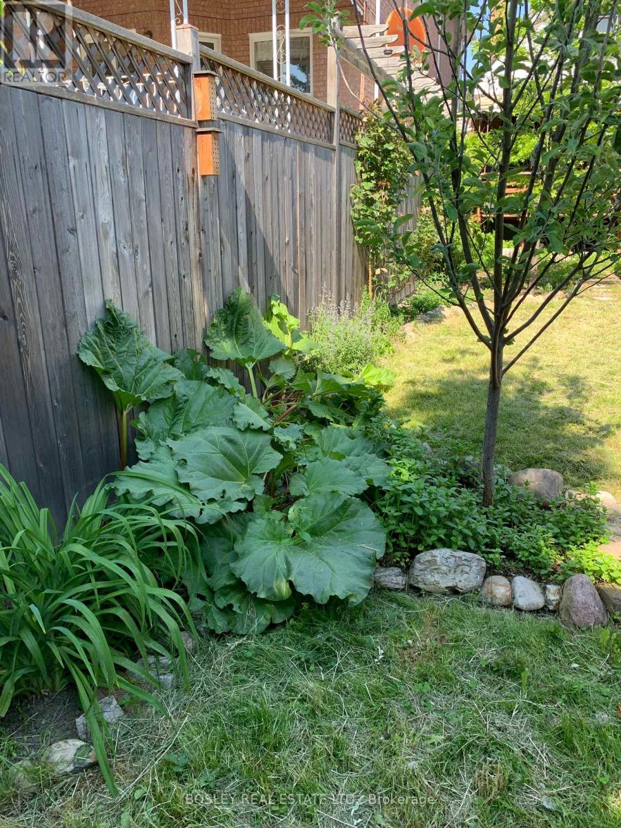 224 Rosethorn Avenue, Toronto, Ontario  M6M 3L1 - Photo 48 - W12670994