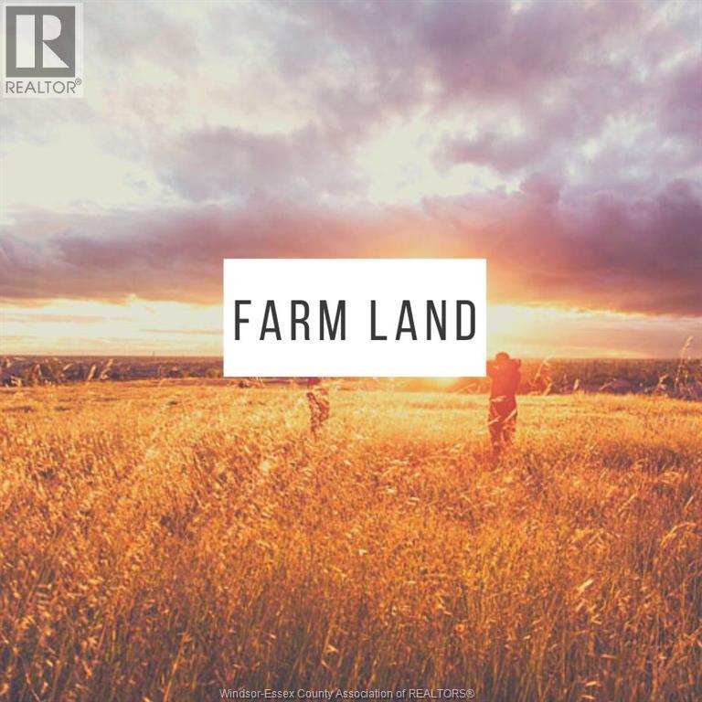 MLS# 26000428: 531 COUNTY RD 42, Lakeshore, Canada