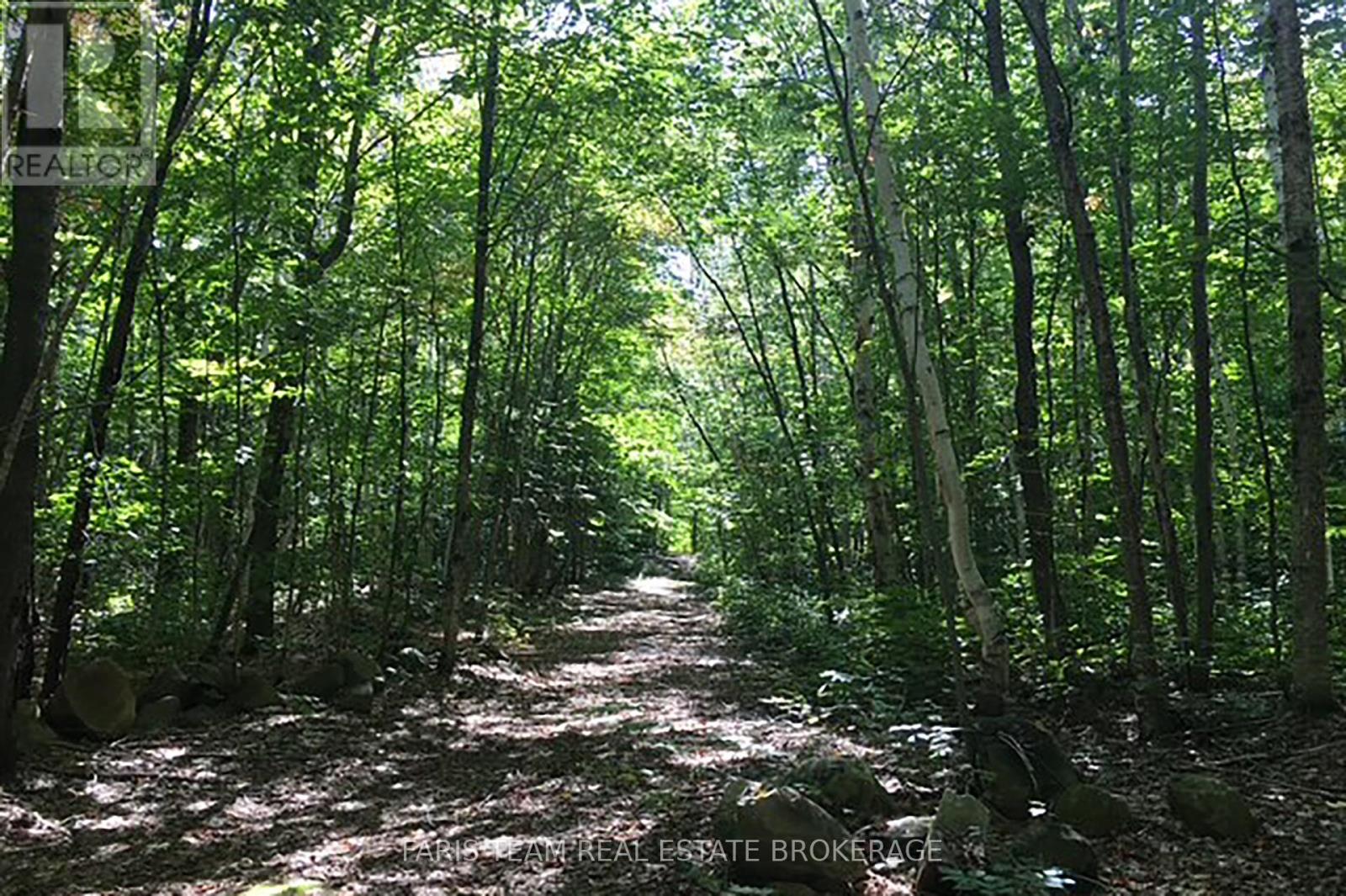 2180-2186 Highway 141, Muskoka Lakes, Ontario  P0B 1L0 - Photo 18 - X12671086