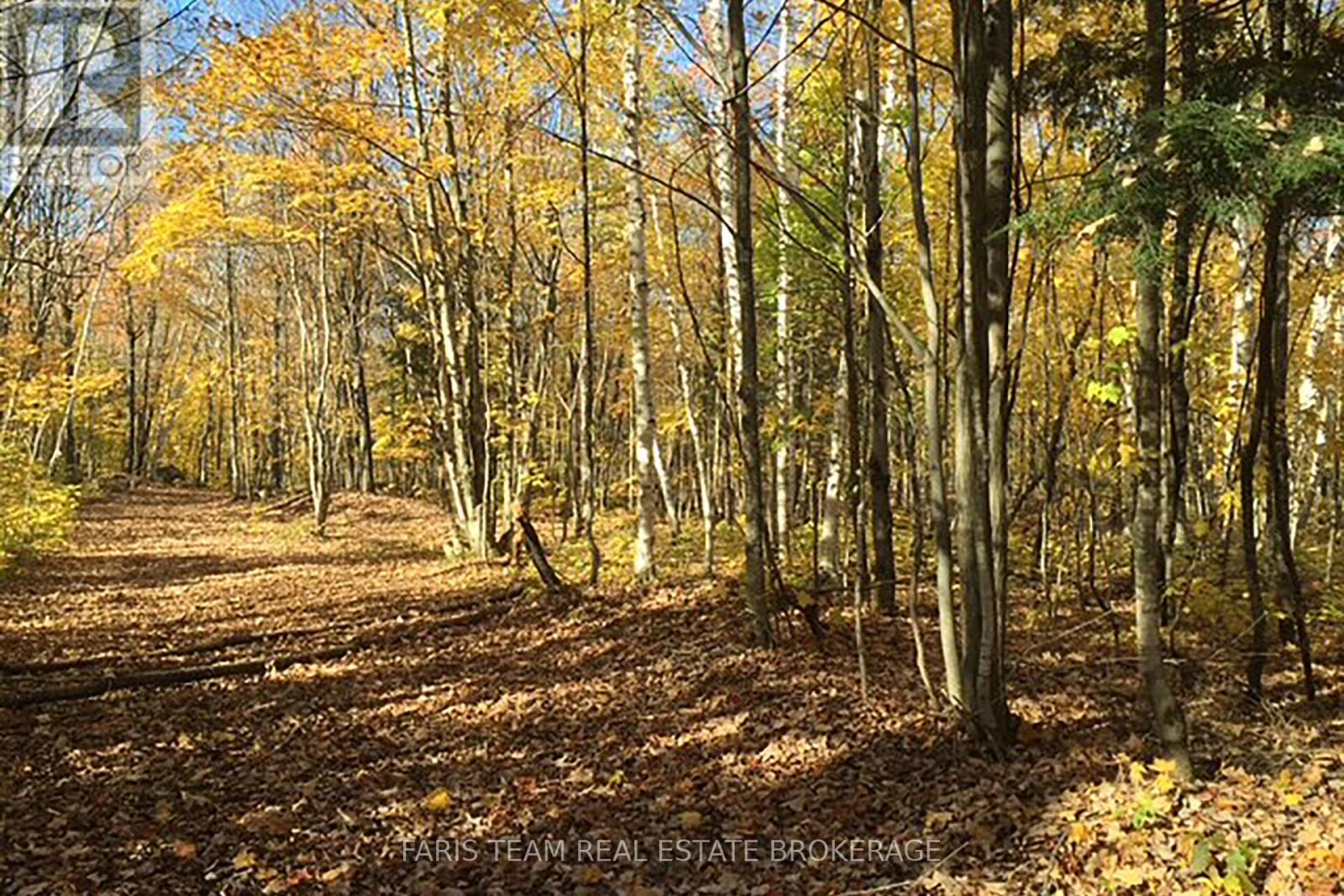 2180-2186 Highway 141, Muskoka Lakes, Ontario  P0B 1L0 - Photo 19 - X12671086