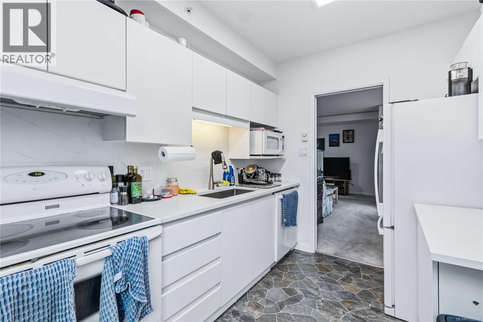 207 1020 View St, Victoria, British Columbia  V8V 4Y4 - Photo 11 - 1022436