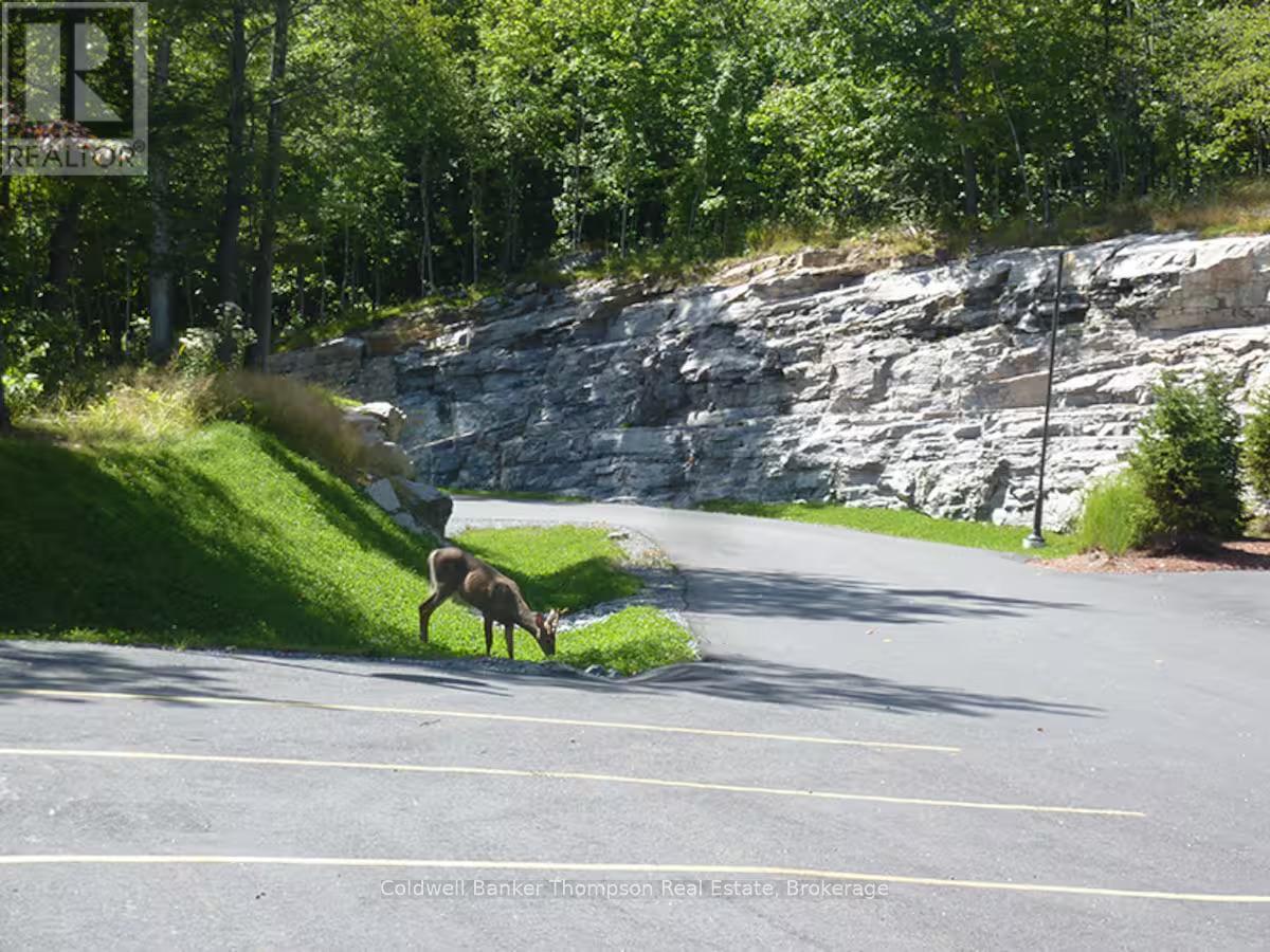 3-103 Tree Tops Lane, Huntsville, Ontario  P1H 0B8 - Photo 25 - X12671186