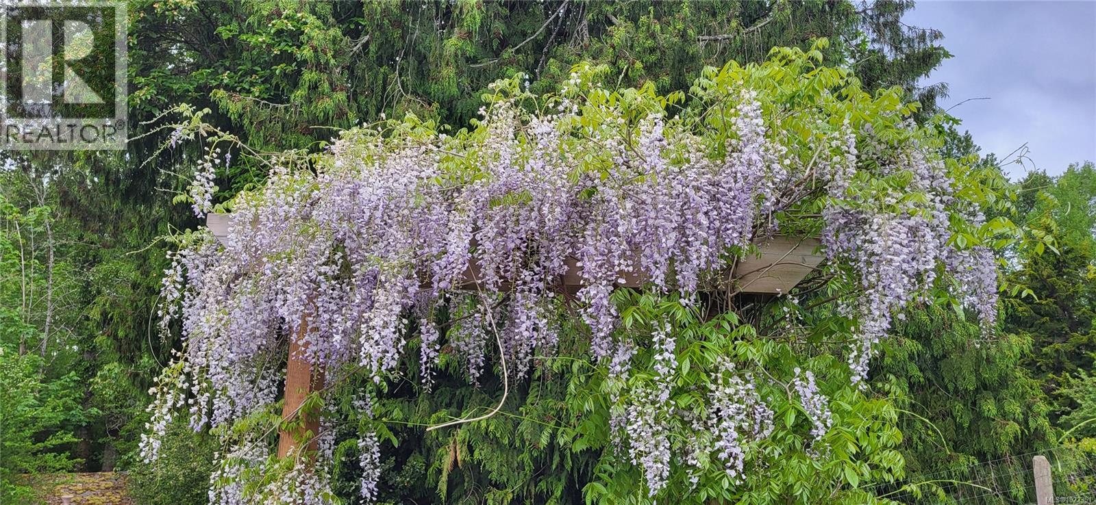 2115 Minto Ave, Nanaimo, British Columbia  V9X 1R7 - Photo 43 - 1022351