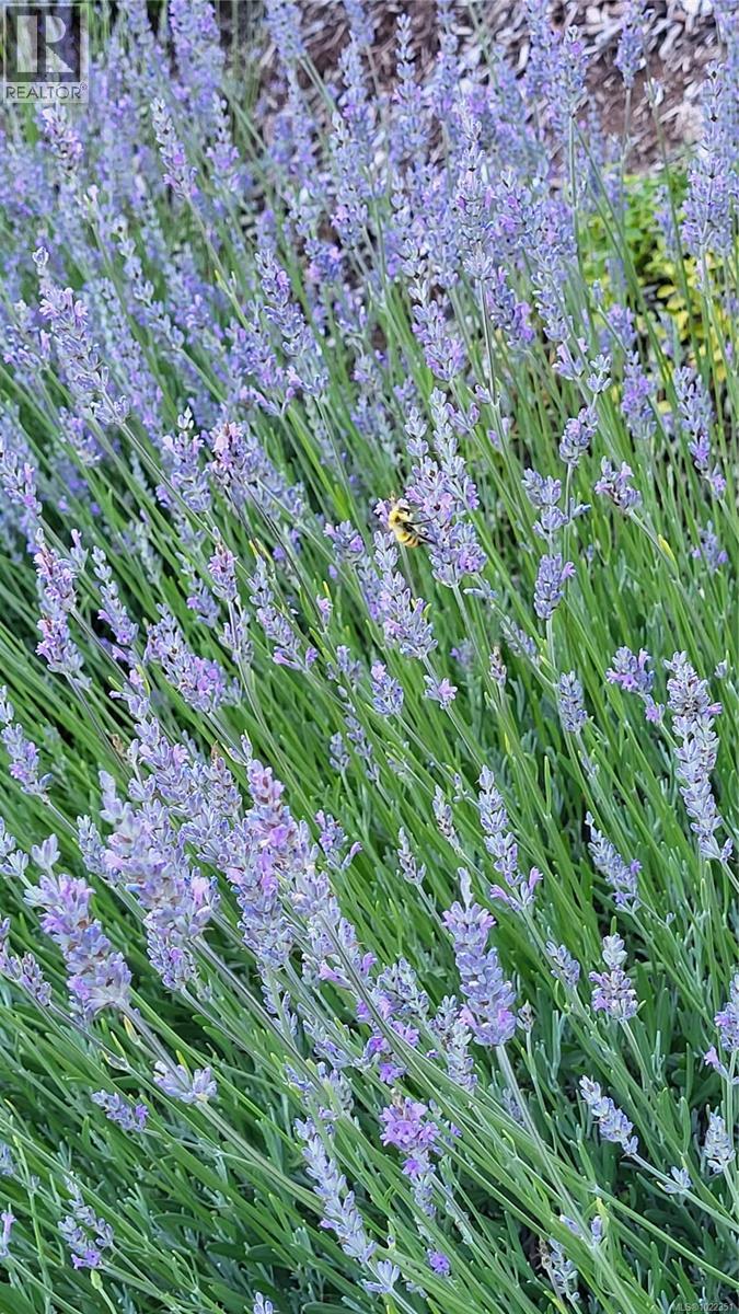 2115 Minto Ave, Nanaimo, British Columbia  V9X 1R7 - Photo 57 - 1022351