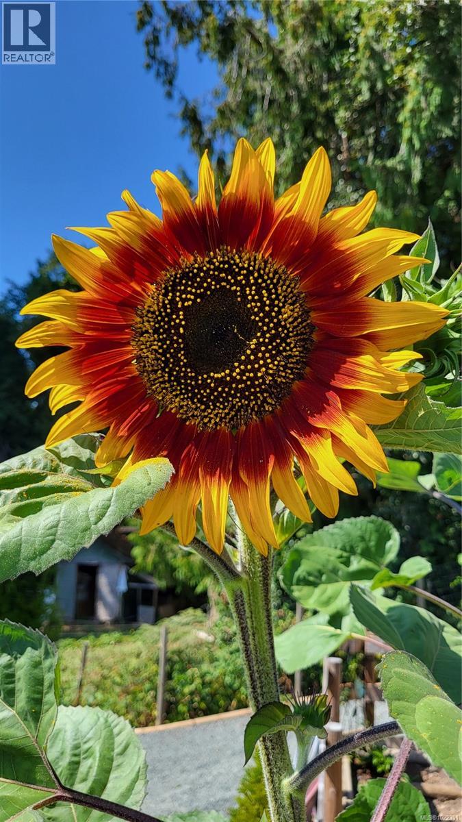 2115 Minto Ave, Nanaimo, British Columbia  V9X 1R7 - Photo 72 - 1022351