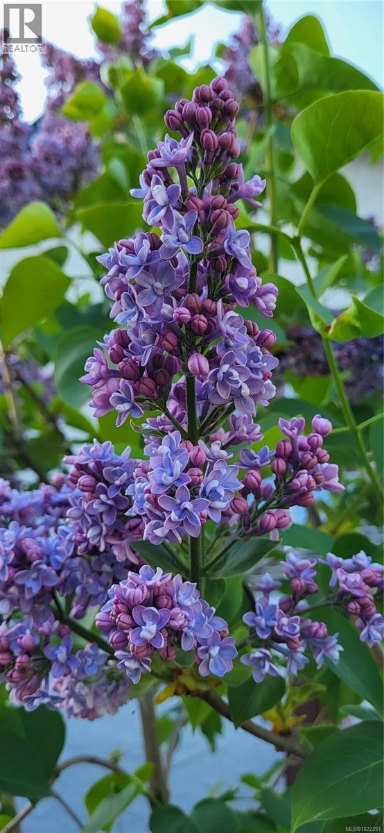 2115 Minto Ave, Nanaimo, British Columbia  V9X 1R7 - Photo 73 - 1022351