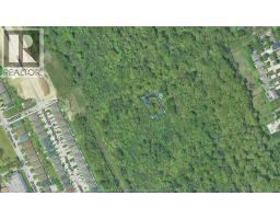 V/L CALIFORNIA, Windsor, Ontario