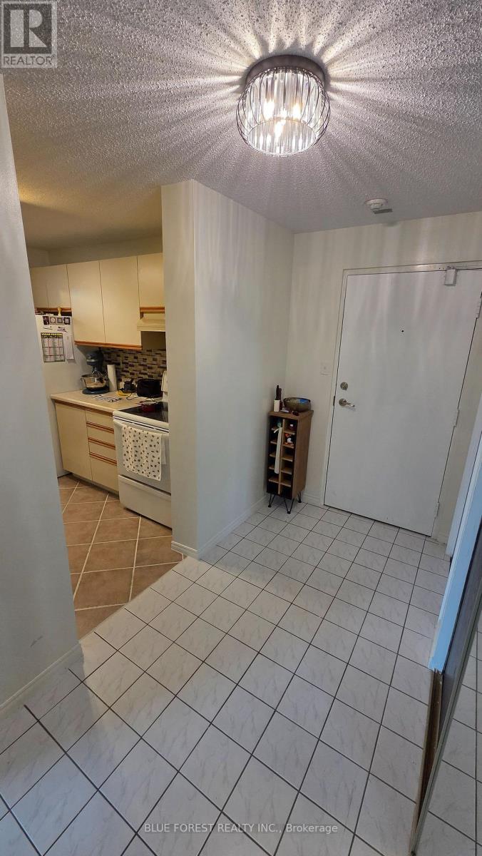 711 - 45 Pond Mills Road, London South, Ontario  N5Z 4W5 - Photo 10 - X12671576