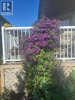 734 Woodside Bay Nw, Airdrie, Alberta  T4B 2W2 - Photo 46 - A2277101