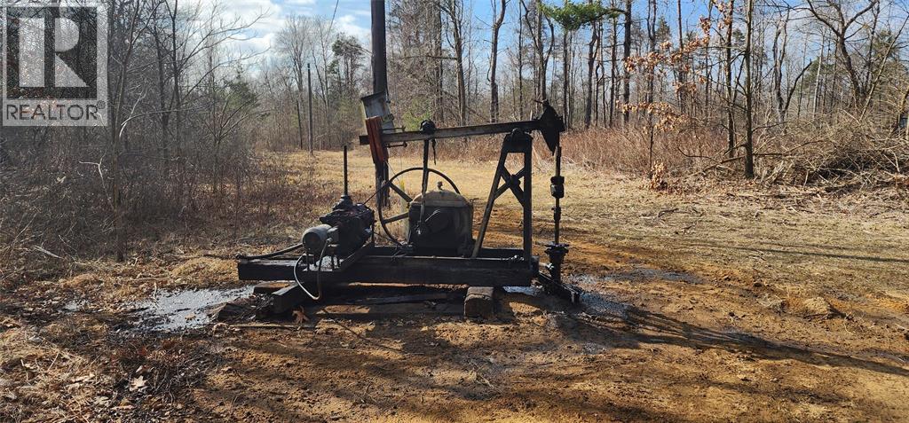 29771 Zone Rd 7 ..., Bothwell, Ontario  N0P 1C0 - Photo 12 - 26000456