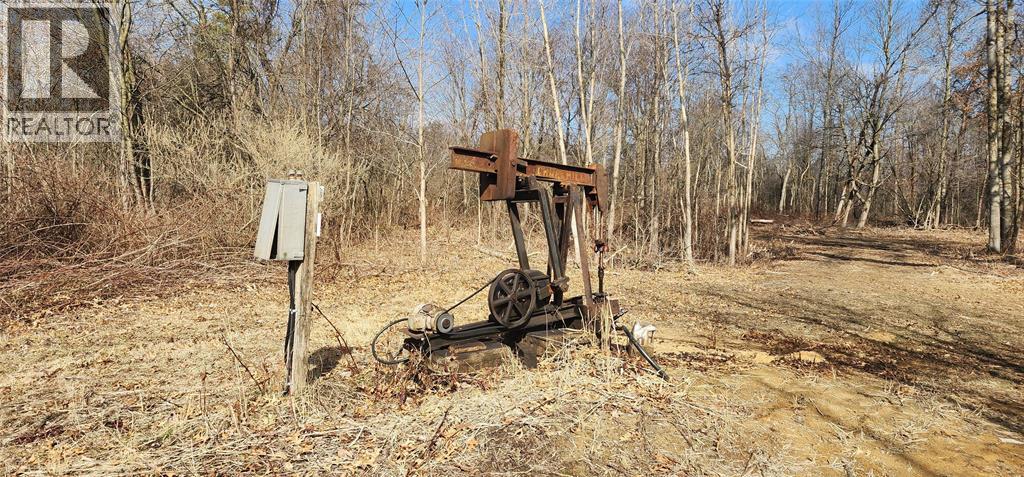 29771 Zone Rd 7 ..., Bothwell, Ontario  N0P 1C0 - Photo 13 - 26000456