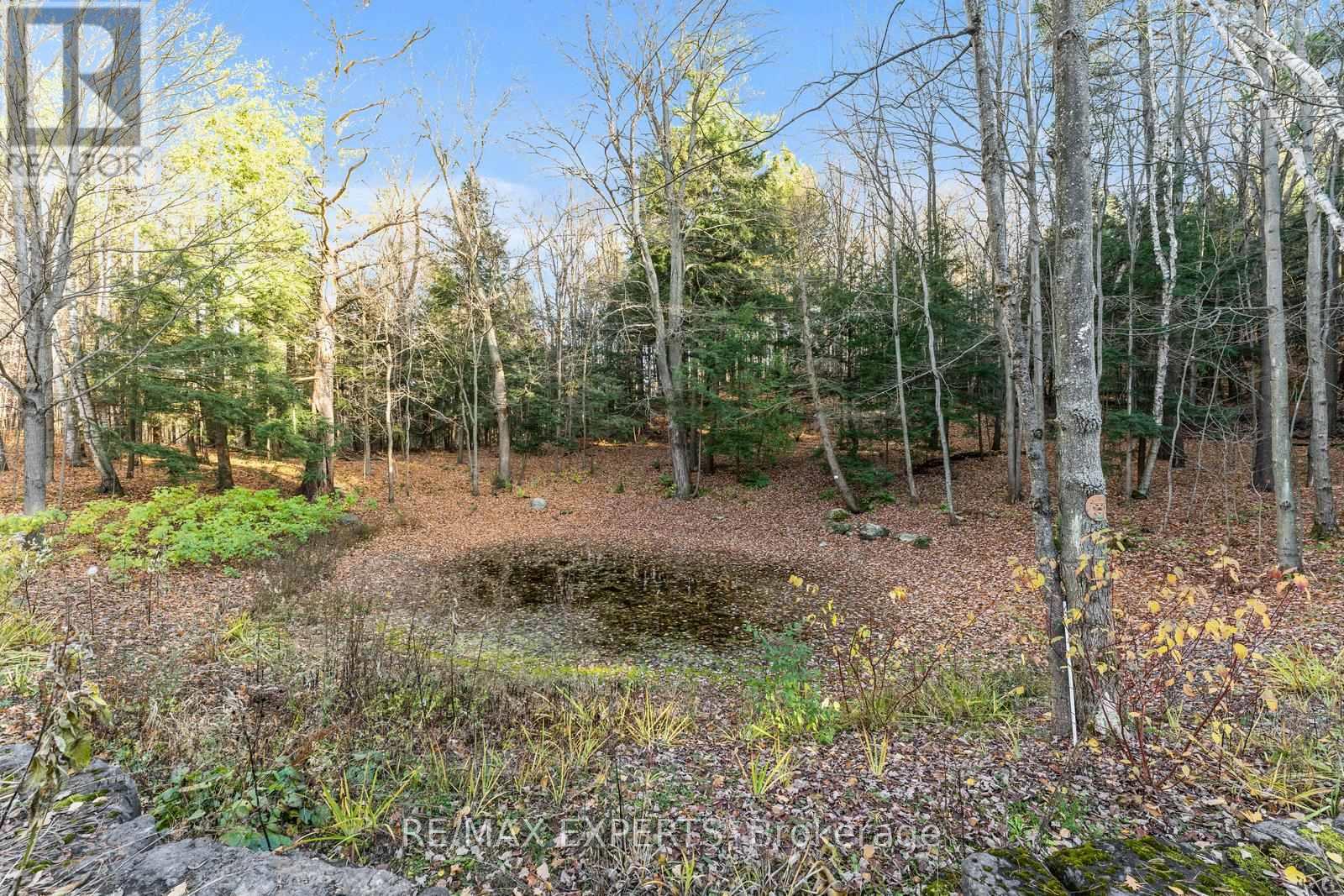 211 Pine Avenue, Caledon, Ontario  L7E 3S7 - Photo 50 - W12671548