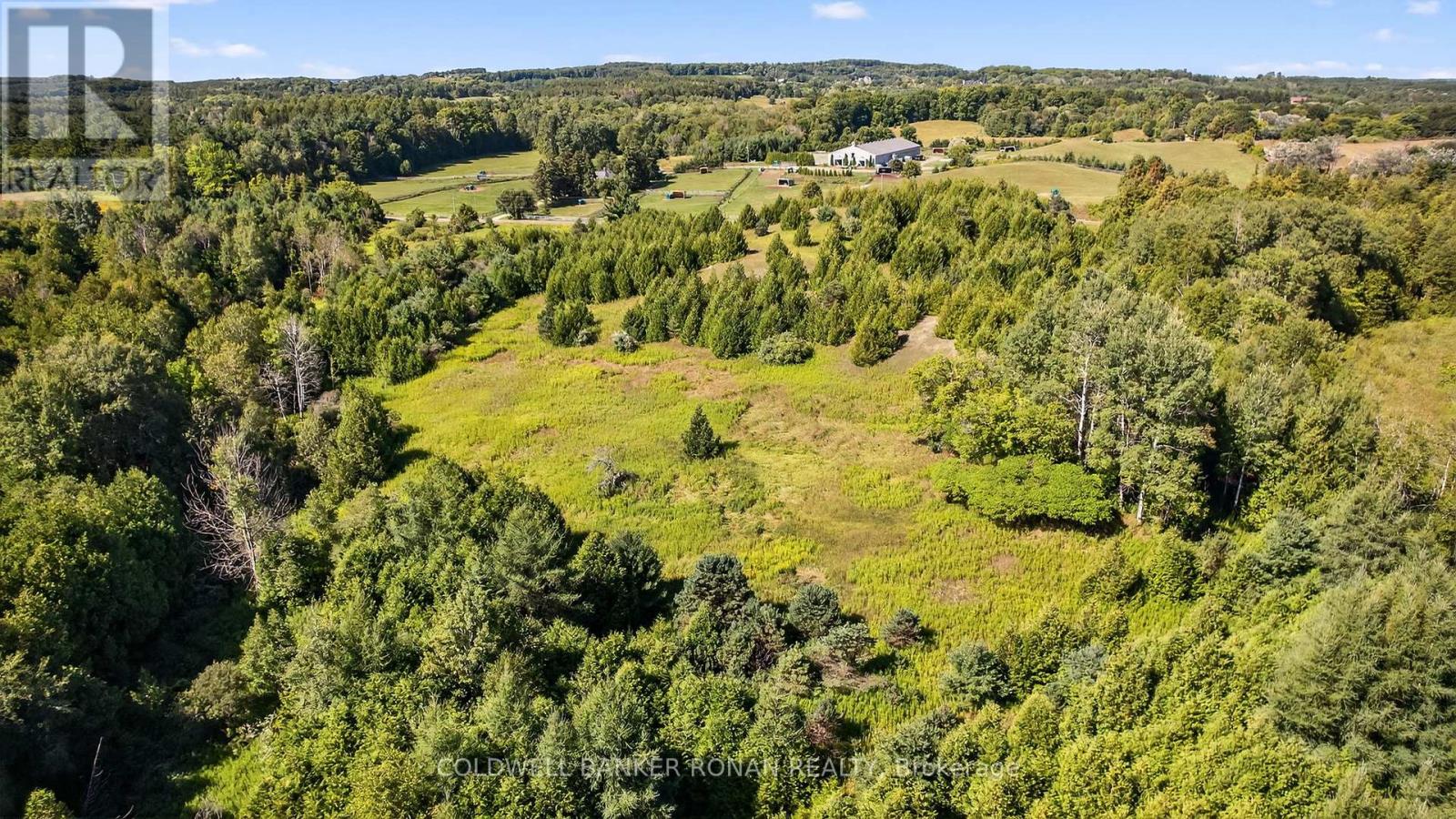 8155 19th Side Road, King, Ontario  L0G 1T0 - Photo 22 - N12354995