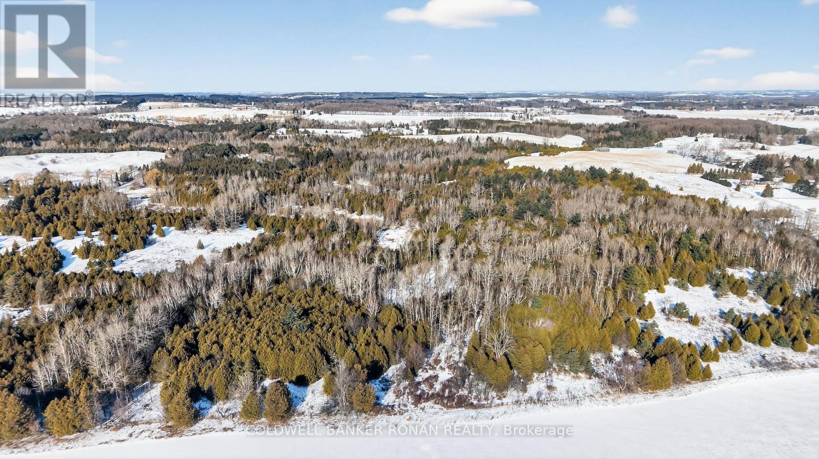 8155 19th Side Road, King, Ontario  L0G 1T0 - Photo 5 - N12354995