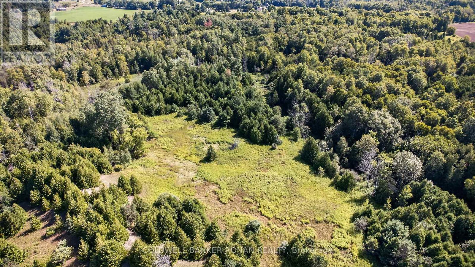 8155 19th Side Road, King, Ontario  L0G 1T0 - Photo 17 - N12354995