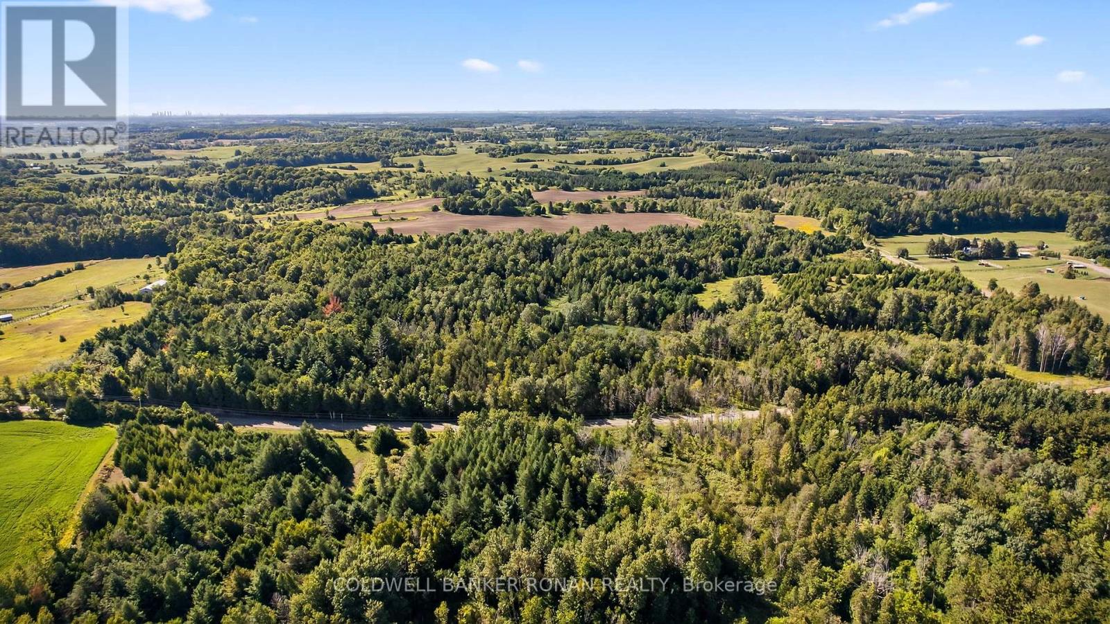 8155 19th Side Road, King, Ontario  L0G 1T0 - Photo 14 - N12354995