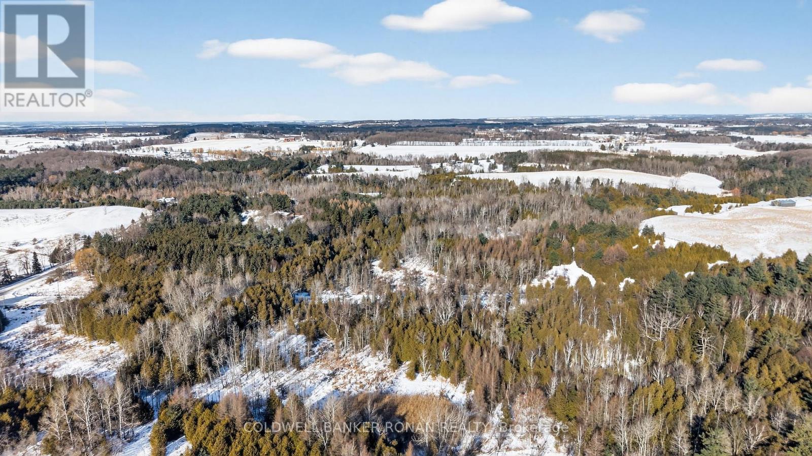 8155 19th Side Road, King, Ontario  L0G 1T0 - Photo 7 - N12354995