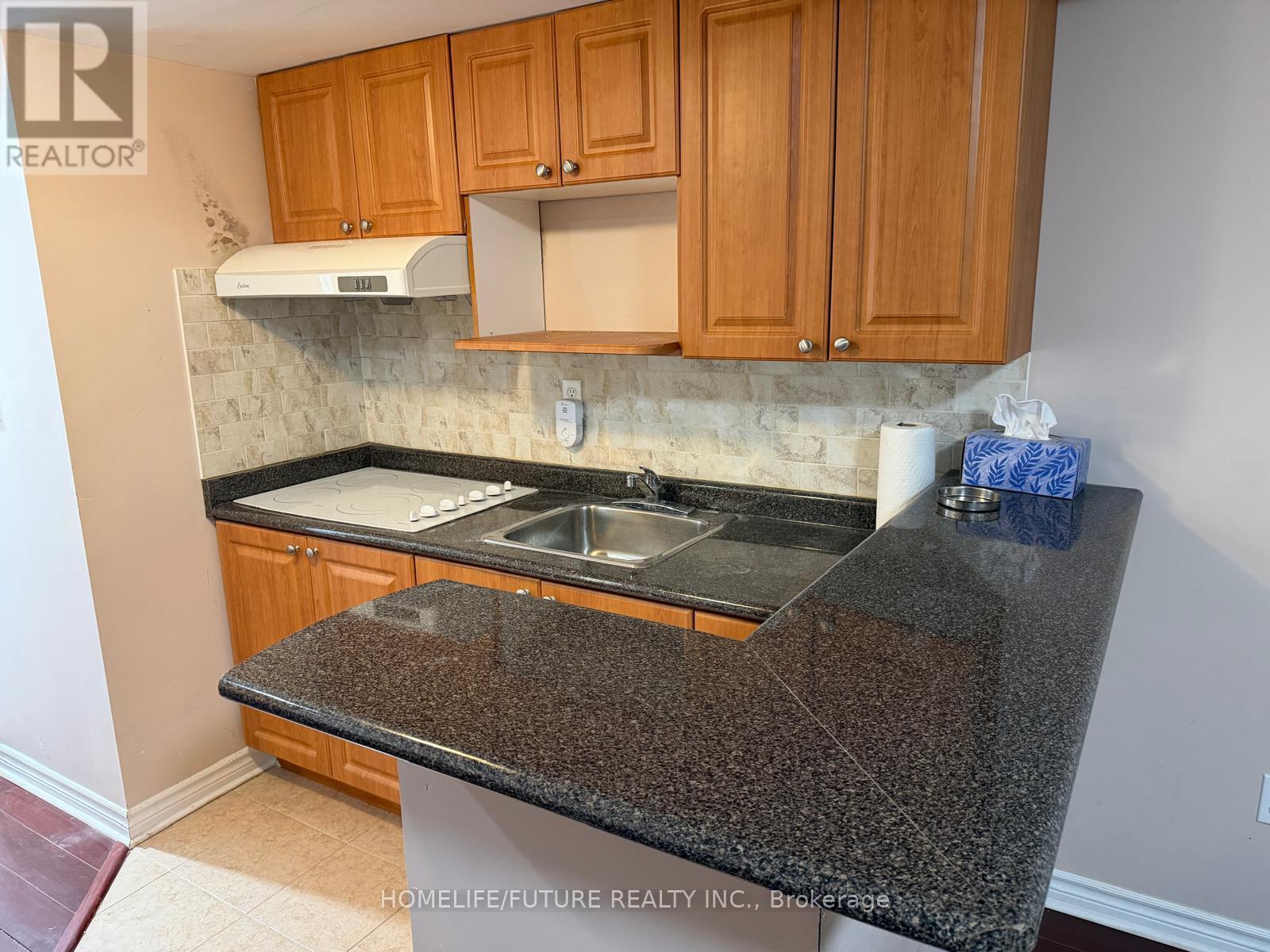 Bsmt - 29 Sassafras Circle, Vaughan, Ontario  L4J 8M7 - Photo 8 - N12671610