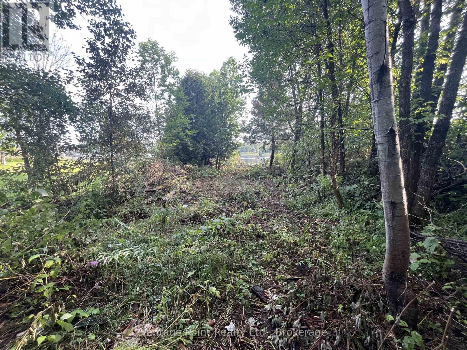 33 Third Street E, Timiskaming (Tim - Outside - Rural), Ontario  P0J 1G0 - Photo 4 - T12671952