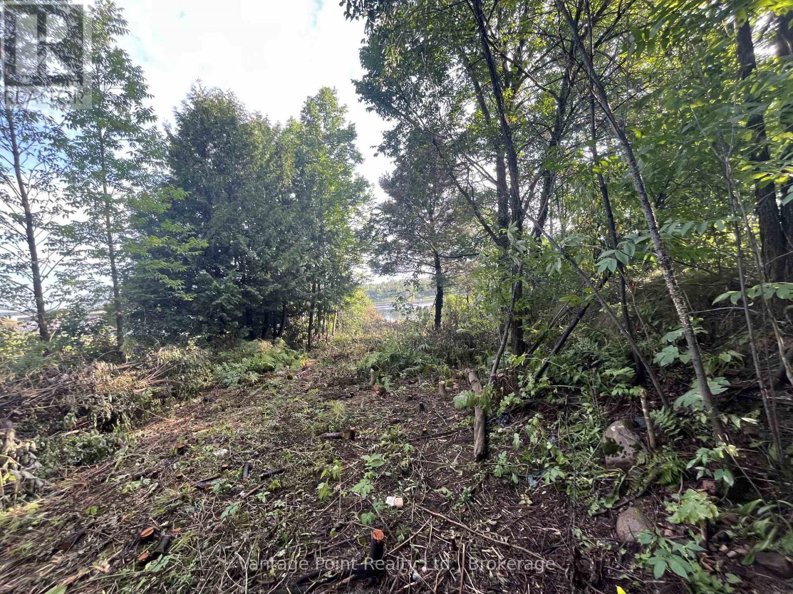 33 Third Street E, Timiskaming (Tim - Outside - Rural), Ontario  P0J 1G0 - Photo 5 - T12671952