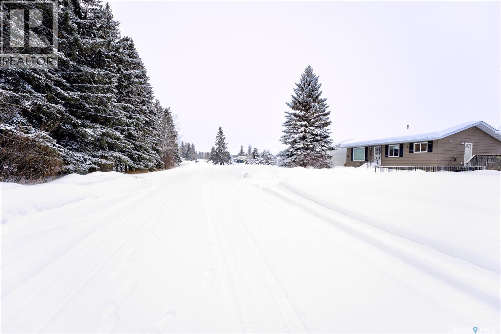 123 4th Street W, Pierceland, Saskatchewan  S0M 2K0 - Photo 40 - SK026316