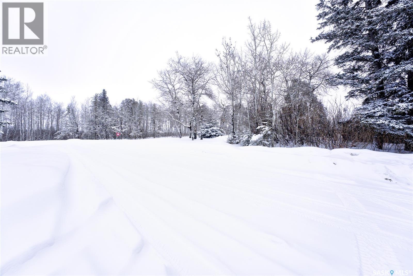 123 4th Street W, Pierceland, Saskatchewan  S0M 2K0 - Photo 42 - SK026316