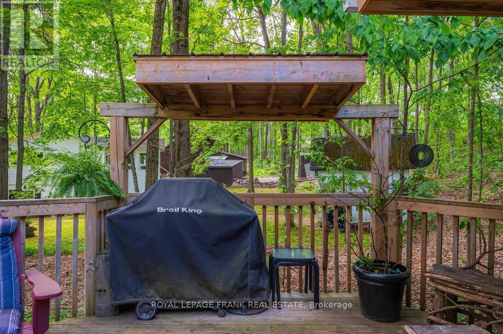 3 Fire Route 27b, Trent Lakes, Ontario  K0L 1J0 - Photo 38 - X12430588