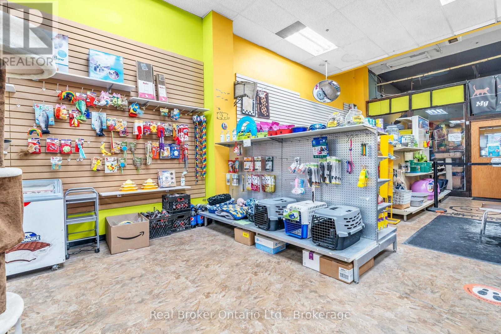 117 Wyndham Street N, Guelph (Downtown), Ontario  N1H 4E9 - Photo 12 - X12672164