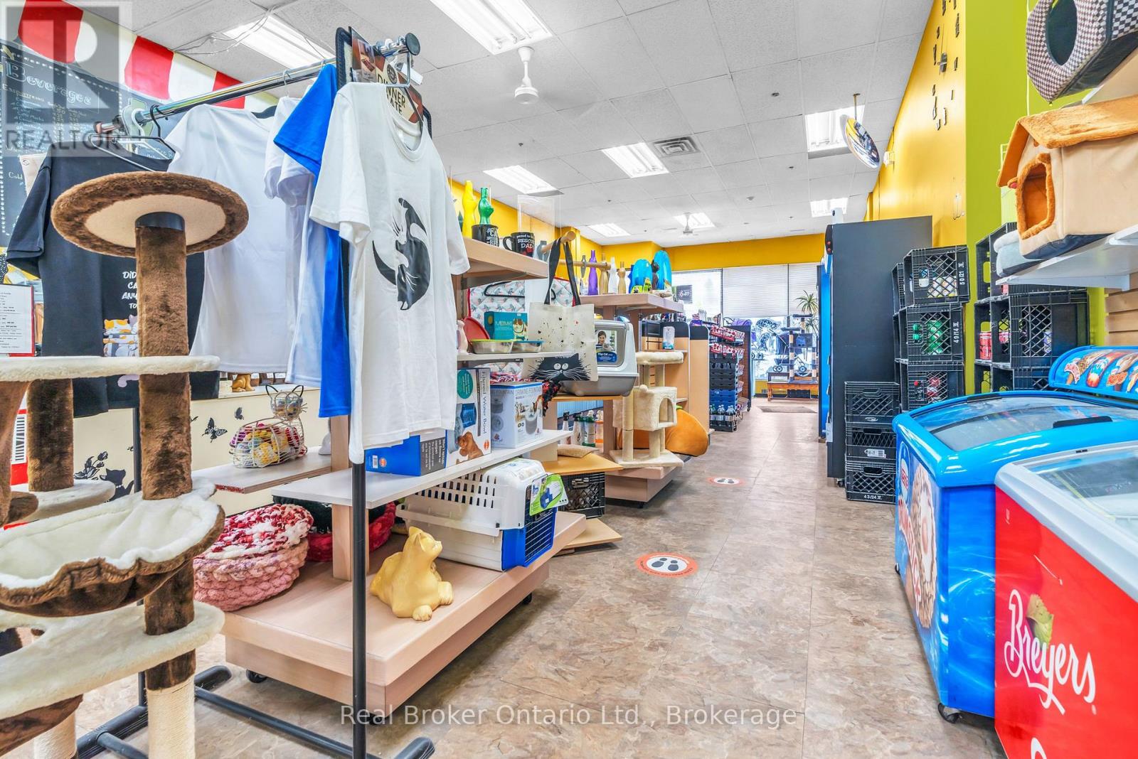 117 Wyndham Street N, Guelph (Downtown), Ontario  N1H 4E9 - Photo 14 - X12672164