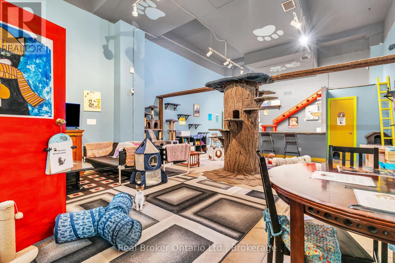 117 Wyndham Street N, Guelph (Downtown), Ontario  N1H 4E9 - Photo 15 - X12672164