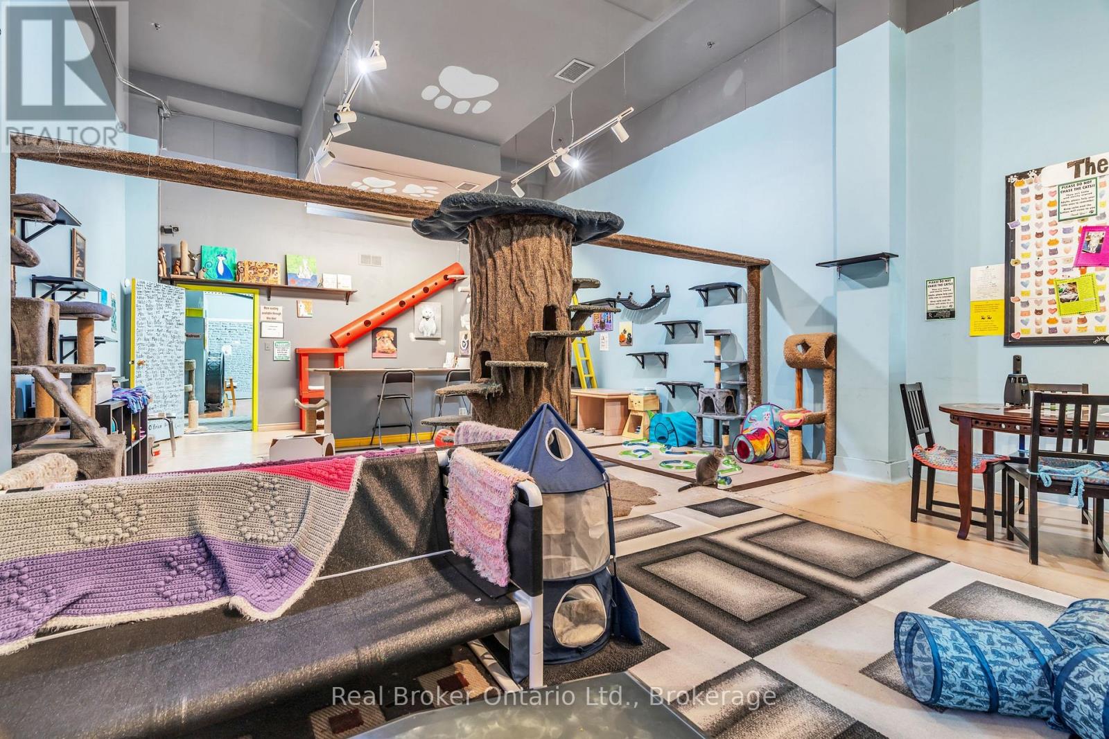 117 Wyndham Street N, Guelph (Downtown), Ontario  N1H 4E9 - Photo 17 - X12672164