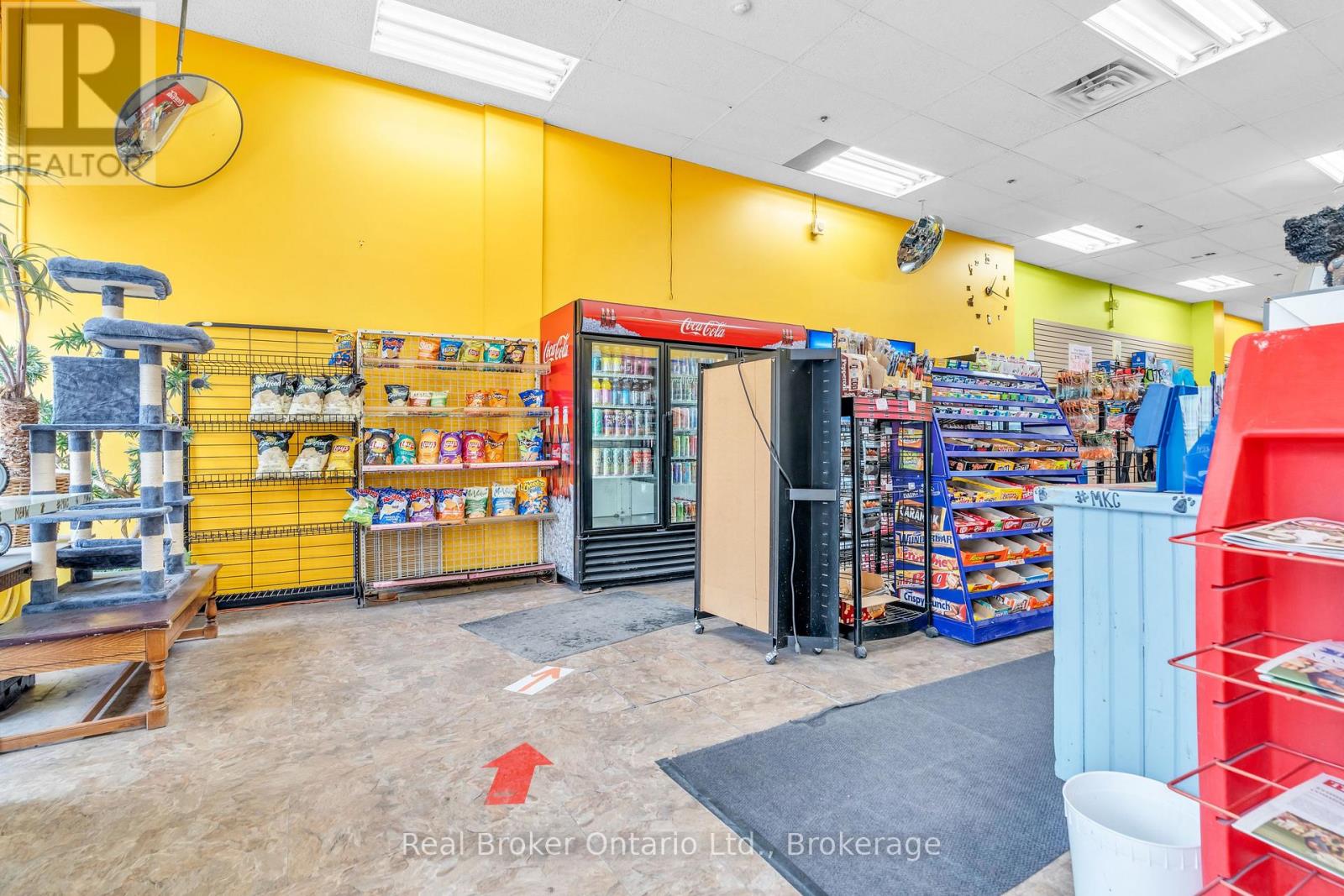 117 Wyndham Street N, Guelph (Downtown), Ontario  N1H 4E9 - Photo 6 - X12672164