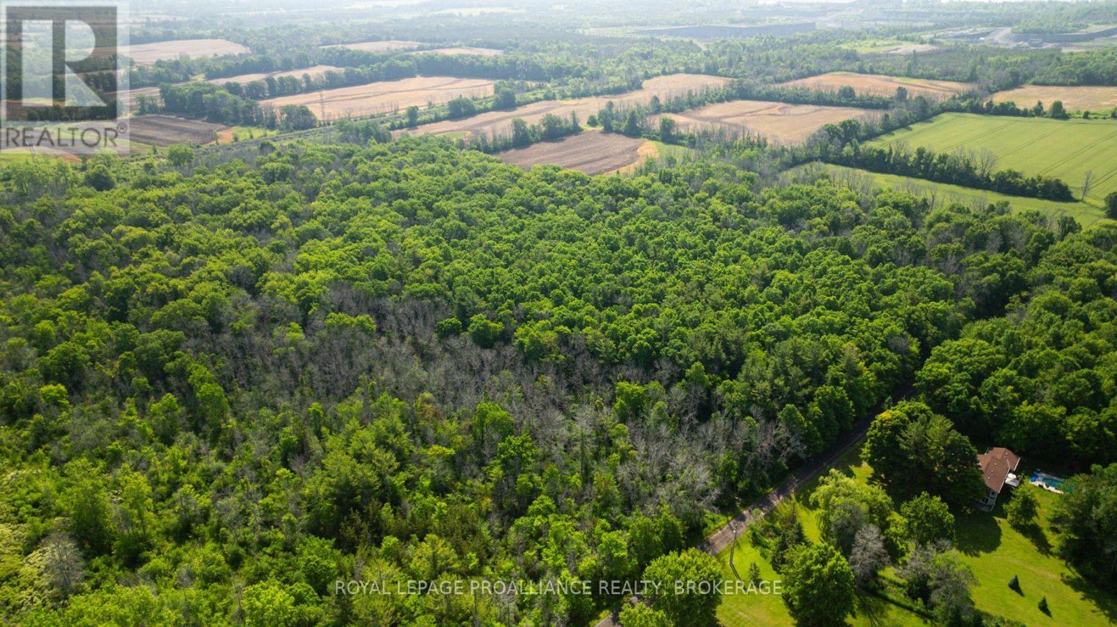 Lot B Townline Road, Loyalist, Ontario  K0H 1G0 - Photo 11 - X12672178