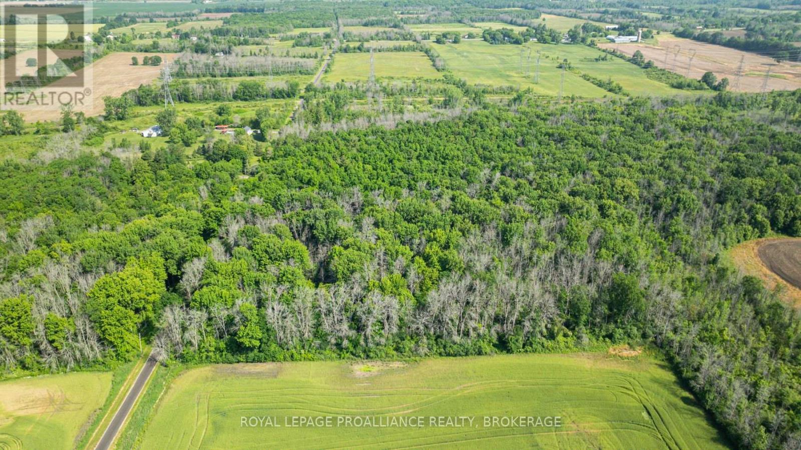 Lot B Townline Road, Loyalist, Ontario  K0H 1G0 - Photo 7 - X12672178