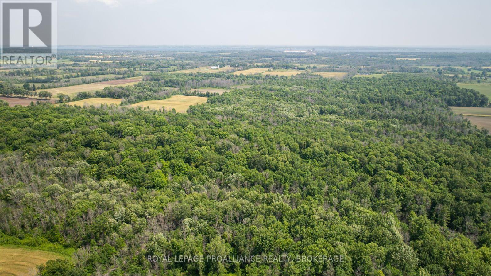 Lot C Townline Road, Loyalist, Ontario  K0H 1G0 - Photo 14 - X12672180