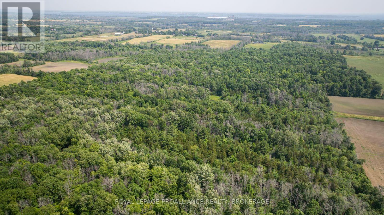 Lot C Townline Road, Loyalist, Ontario  K0H 1G0 - Photo 15 - X12672180