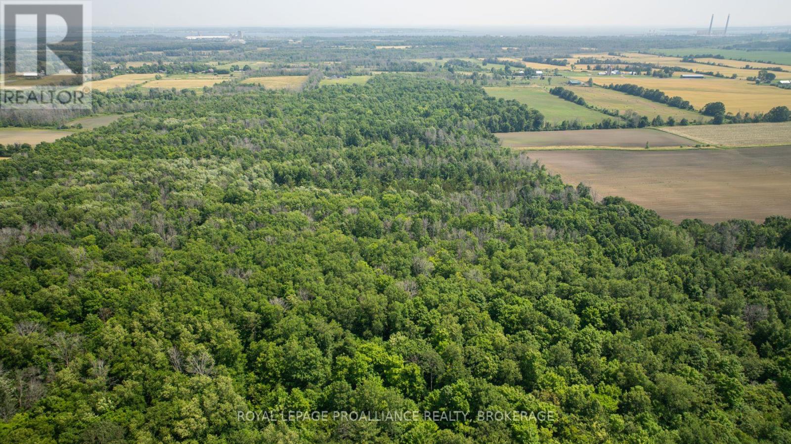 Lot C Townline Road, Loyalist, Ontario  K0H 1G0 - Photo 16 - X12672180