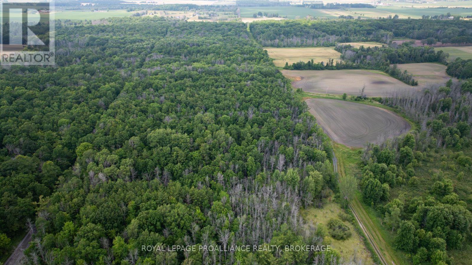 Lot C Townline Road, Loyalist, Ontario  K0H 1G0 - Photo 3 - X12672180