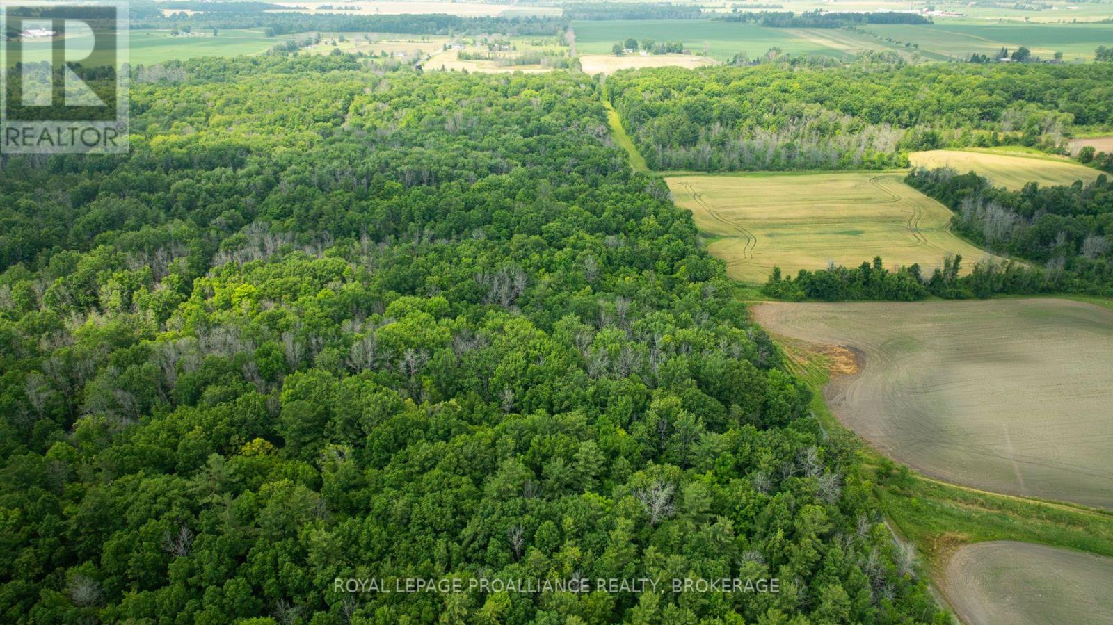 Lot C Townline Road, Loyalist, Ontario  K0H 1G0 - Photo 5 - X12672180