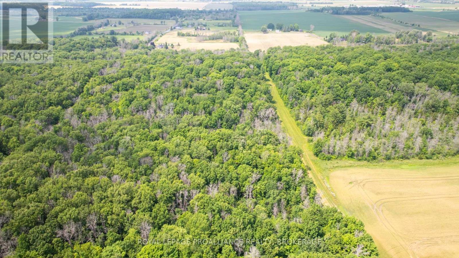 Lot C Townline Road, Loyalist, Ontario  K0H 1G0 - Photo 6 - X12672180