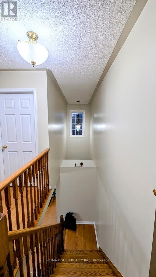 56 Williamson Drive, Brampton, Ontario  L7A 3L9 - Photo 6 - W12671982