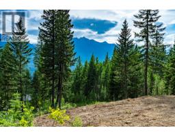 Lot 31 COUGAR Drive, golden, British Columbia