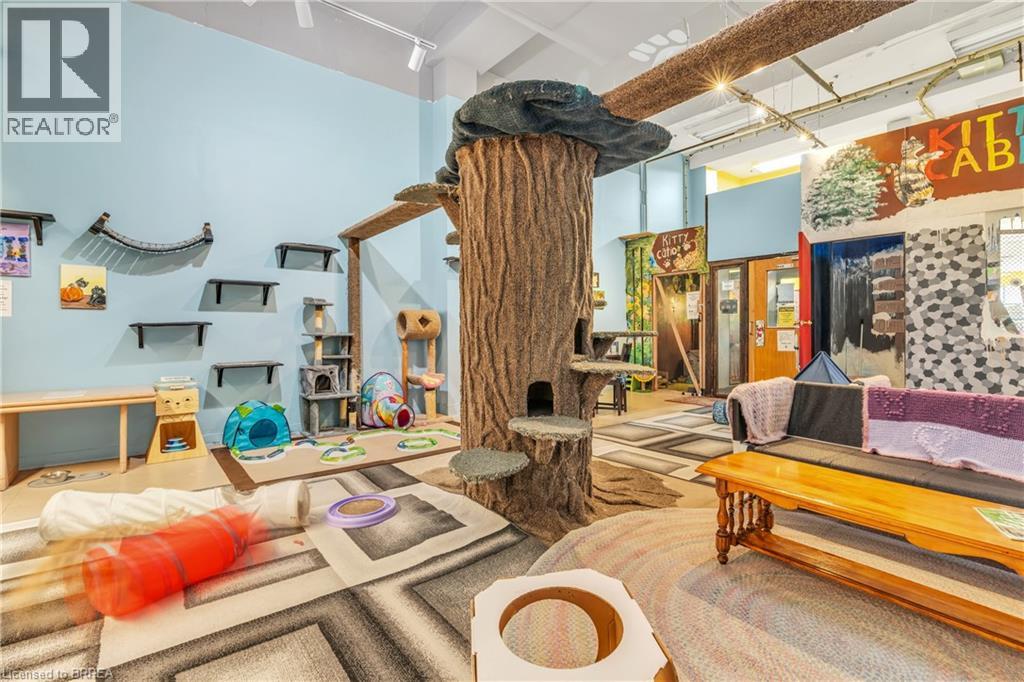 117 Wyndham Street N, Guelph, Ontario  N1H 4E9 - Photo 18 - 40796304