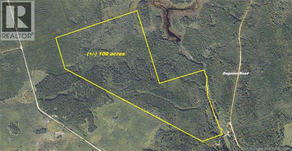 Dagnino Road, Snider Mountain, New Brunswick  E5P 1J8 - Photo 1 - NB131829