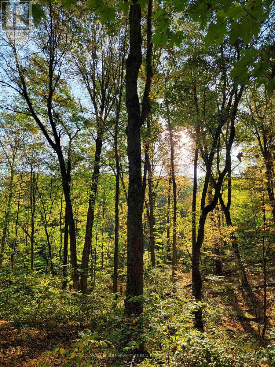 154&155 Lot, Thorold, Ontario  L0S 1E6 - Photo 12 - X12672432