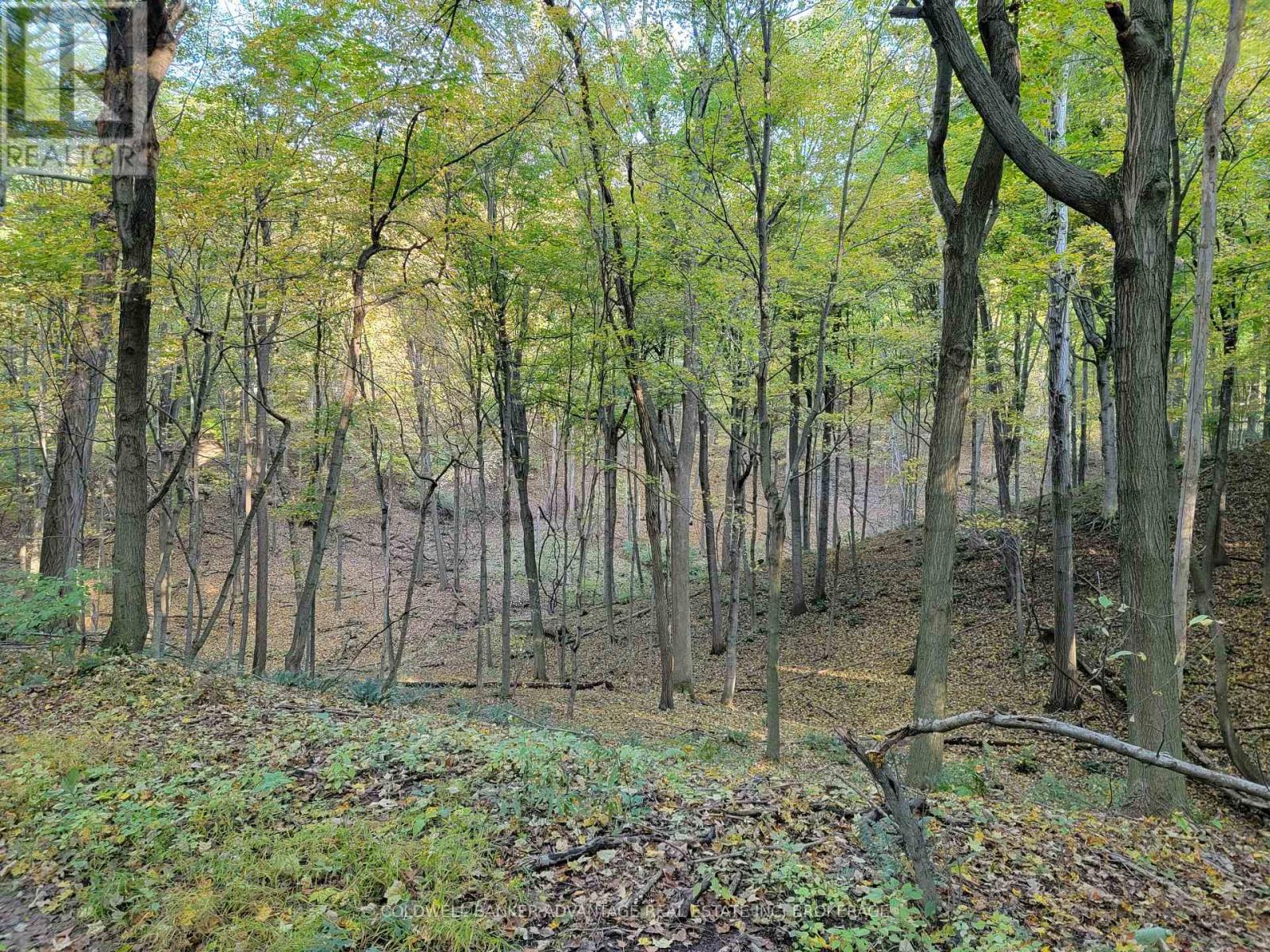 154&155 Lot, Thorold, Ontario  L0S 1E6 - Photo 8 - X12672432