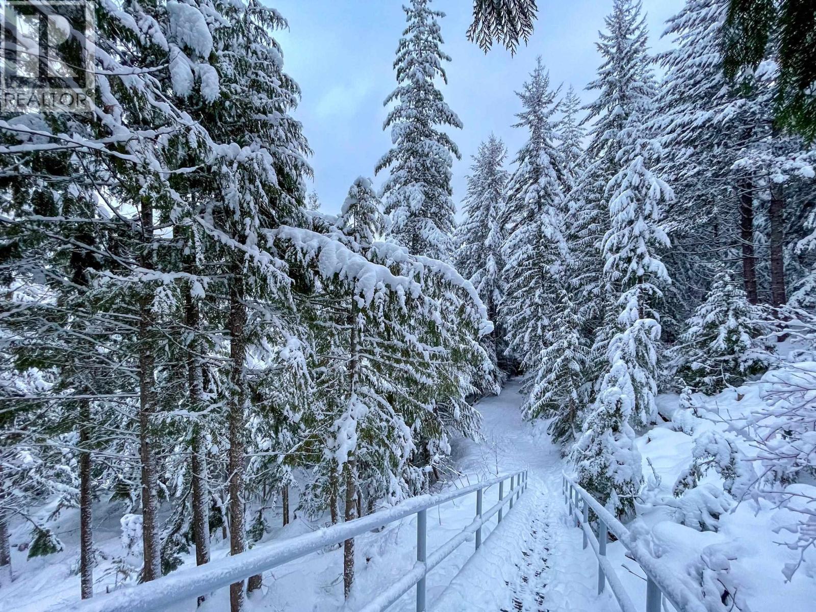 14 2240 Gondola Way, Whistler, British Columbia V8E 0N1 - Photo 32 - R3076612